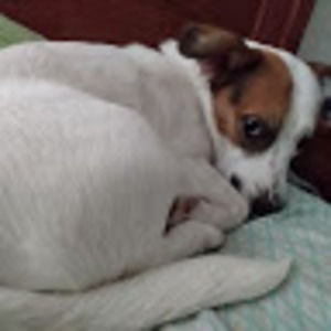 Meet your Posher, Maddy